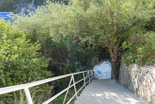 Zante Guide Tours